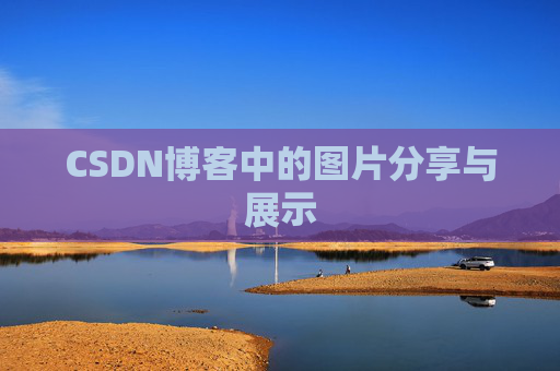 CSDN博客中的图片分享与展示
